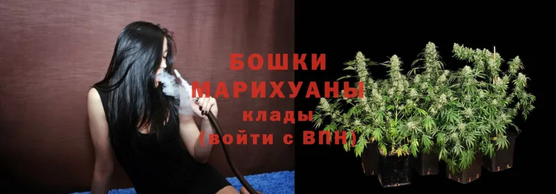 darknet наркотические препараты  Киржач  МАРИХУАНА SATIVA & INDICA 